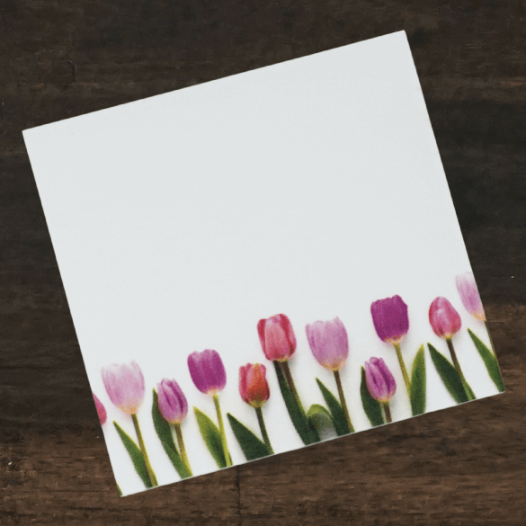 Sticky Notes | Pink Tulips | Bottle Branch