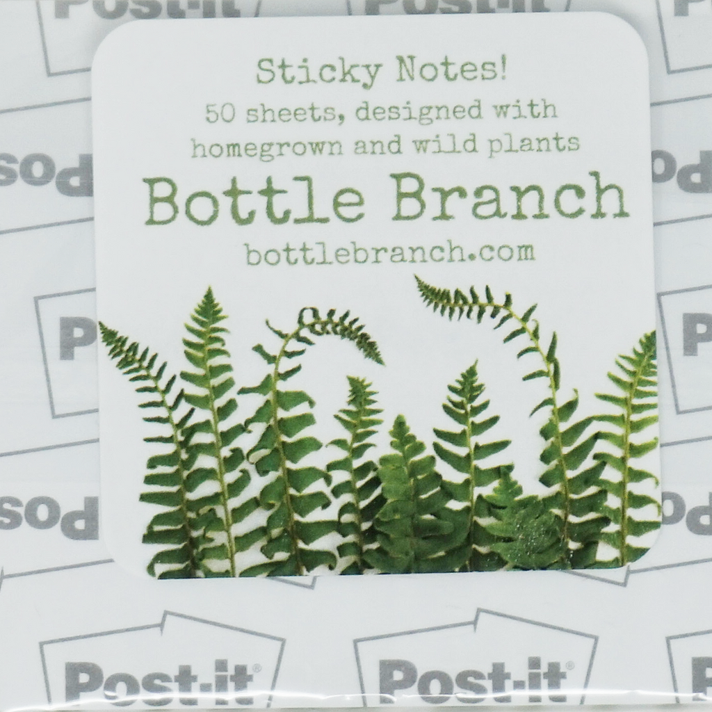 Sticky Notes | Orange Tulip | Bottle Branch