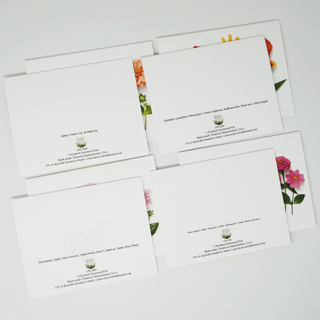 Floral Card Set | Set of 8 | Dahlias | Bottle Branch