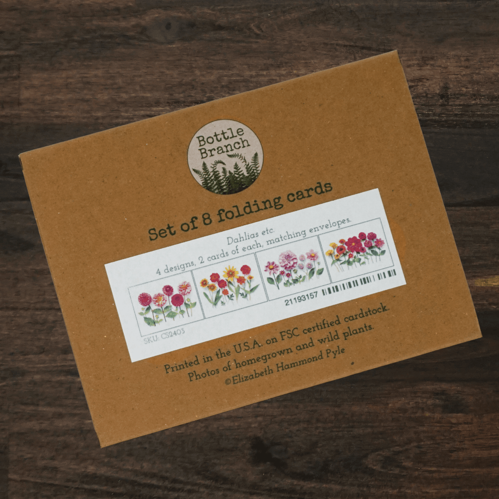 Floral Card Set | Set of 8 | Dahlias | Bottle Branch