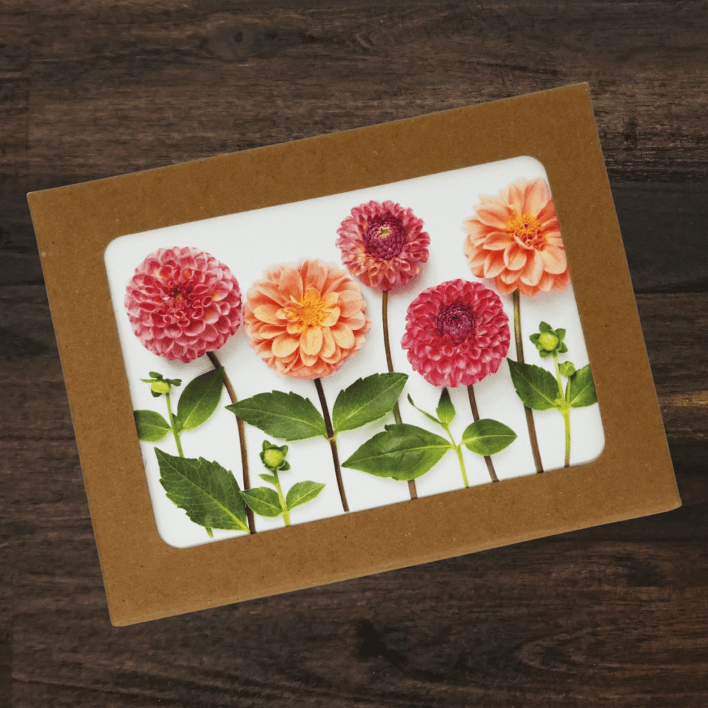 Floral Card Set | Set of 8 | Dahlias | Bottle Branch