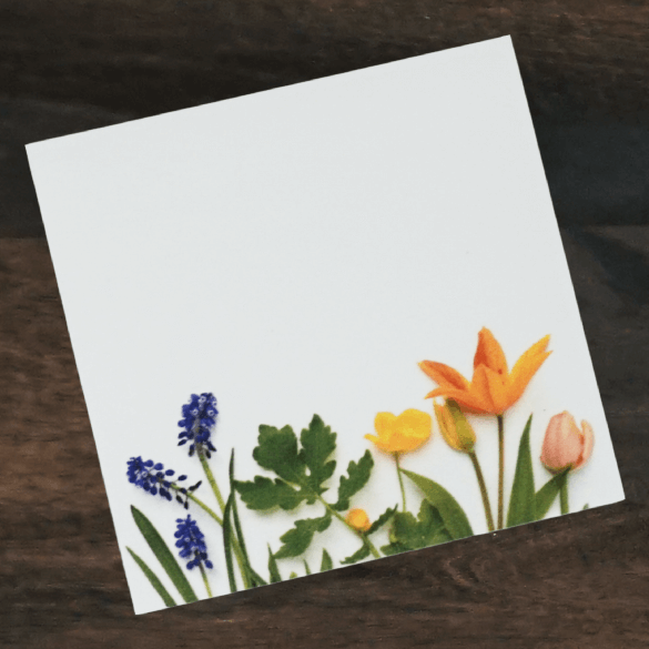 Sticky Notes | Orange Tulip | Bottle Branch