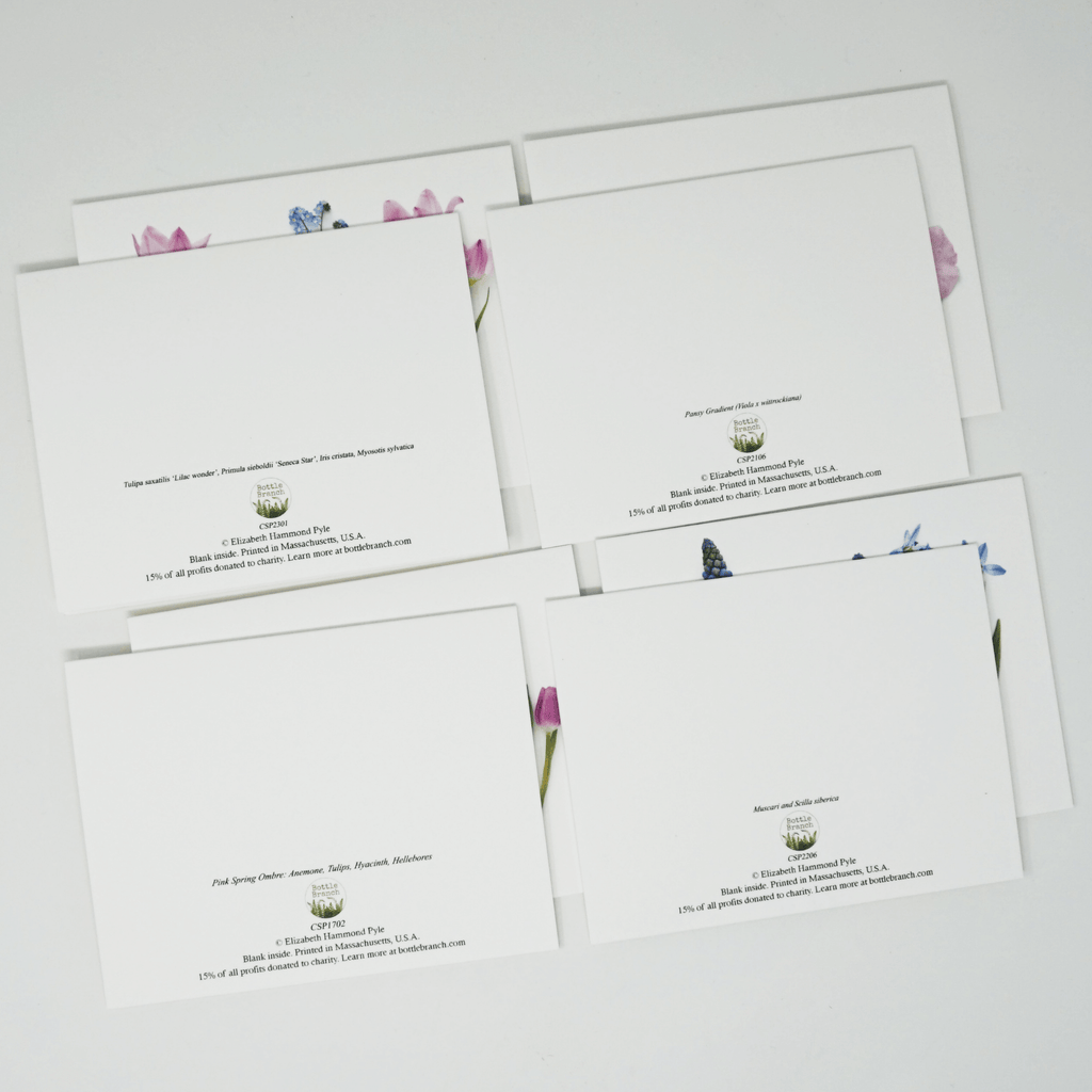 Floral Card Set | Set of 8 | Pastel Spring | Bottle Branch