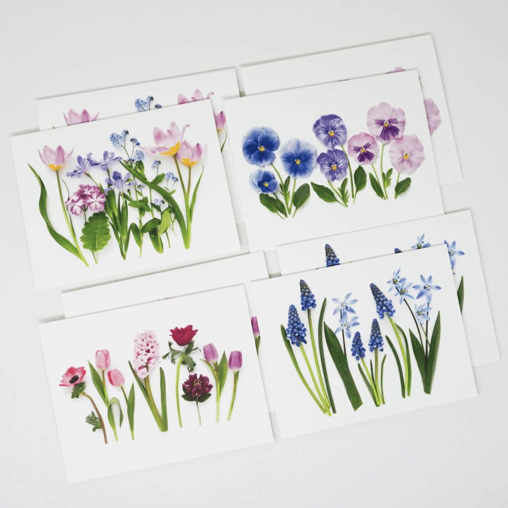 Floral Card Set | Set of 8 | Pastel Spring | Bottle Branch