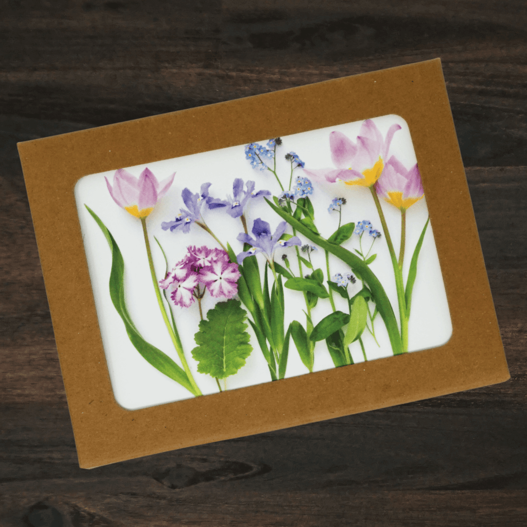 Floral Card Set | Set of 8 | Pastel Spring | Bottle Branch