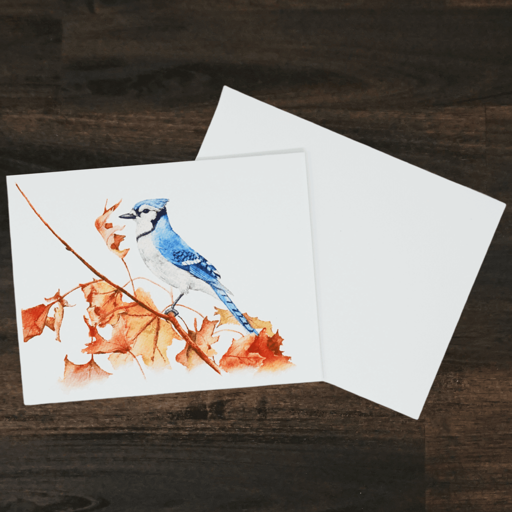 Blue Jay Card | Liz Pope Designs