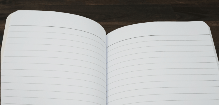 DISCOUNTED | Notebook | Teal Doodle Striped Softcover | Owl & Envelope
