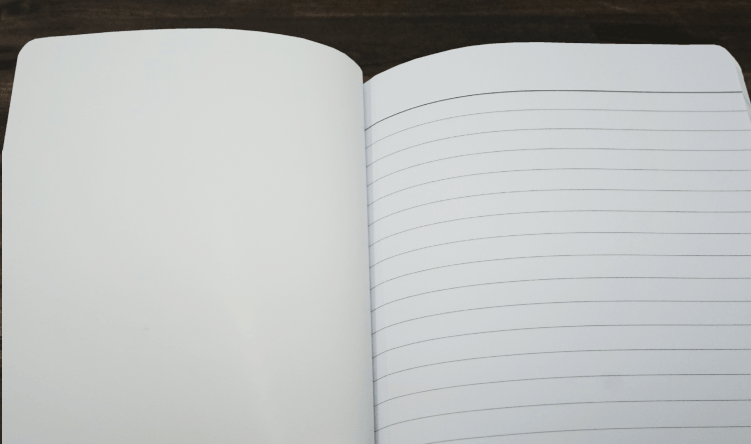 DISCOUNTED | Notebook | Teal Doodle Striped Softcover | Owl & Envelope